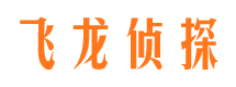 龙胜飞龙私家侦探公司